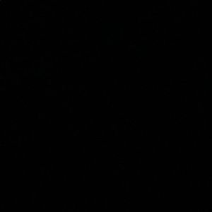 Meet your Posher, Layla